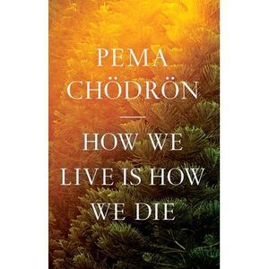 How We Live Is How We Die -- Pema Chodron